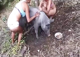 Cute wild animal nicely sucked by a passionate model