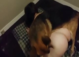 Shepherd knows how to bang a tight pussy