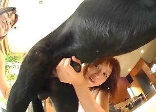 Two sexy Asians are sucking their nice dogs with pleasure