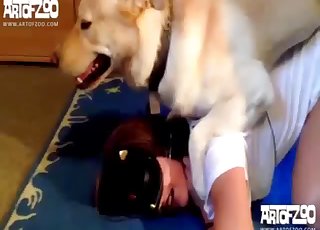 A blonde doggy and a hot masked female have nice sex