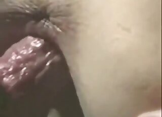 Veľkohubý pes šuká svoju MILFku v tme