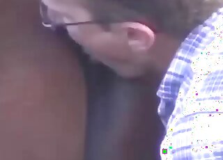 Zoo sex scene with a guy who fucks a kinky mare