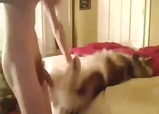 Fuck, watch a yummy teen twink fuck a dog