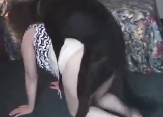 Dog dick is going to make her squeal hard