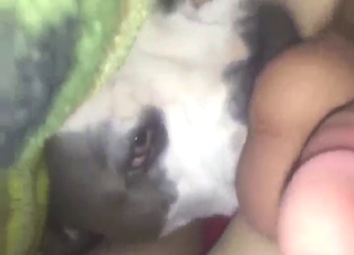 Sexed-up beast is going to tongue that hole