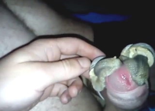 Bestiality porn shows snails fucking his cock head