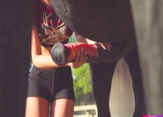 Blonde teen writes a diary and fucks horses