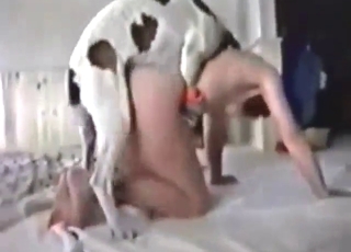 Skinny bitch destroyed on all fours by a dog