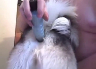 Dildo play in zoo XXX with a slutty animal