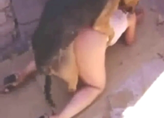 Hot and heavy fuck scene with a wet zoophile