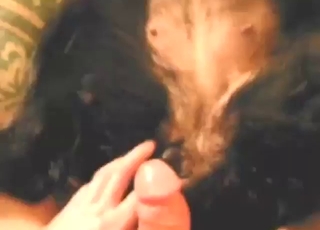 Dog fuck scene with a guy who gapes it good