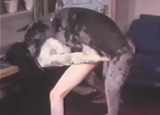 Bruna con culo rotondo si diverte con un cane