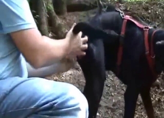 Anal-crazed dude is happy to finger his dog