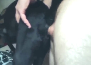His successful thrusting keeps this dog HORNY