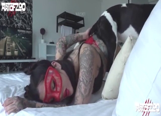Zoophile chick in black lingerie takes dog's dick