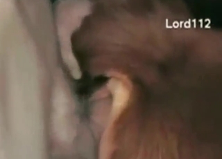 Oversized cock training that beast's hot hole