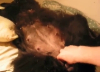 Zoo XXX with a mutt ready to get fingered