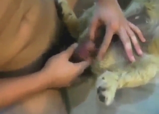 White man with a hard cock fucks a slutty dog