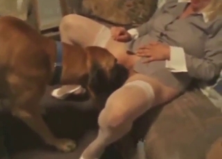 White stockings blonde MILF fucks a brown dog