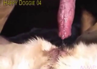 Guy shows what he can do with a canine cunt