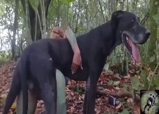 Outdoor fuck movie showing a MILF and her dog