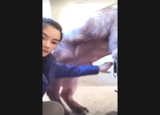 Hot brunette from China gets to play with pig
