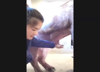 Hot brunette from China gets to play with pig