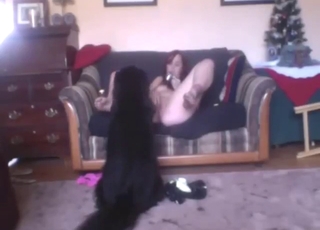 Bestiality sex with two animals that fuck around