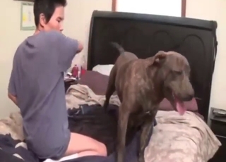 Twisted bestiality porn with a horny gay stud