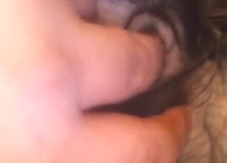 Dude gets really assertive with that animal too