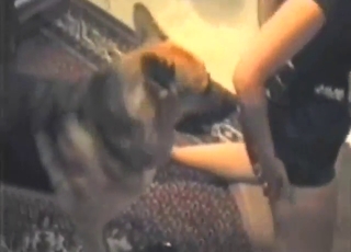 Good-looking lady in black outfit fucks a dog