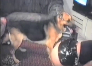 Una bella dama vestida de negro se folla a un perro