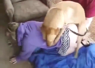 Zoophile wife is going to get fucked on all fours