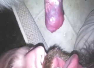 Bearded guy prefers oral bestiality sex up close
