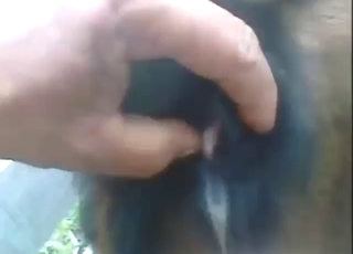 حديقة حيوان XXX مع رجل يكشف عن نفسه بأنه وحشي