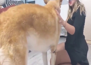 Une folle zoophile baise une bête sexy ici