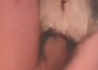 Beast wants to get fucked harder than ever