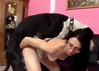 Glasses-wearing brunette gets fucked by dog