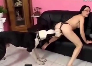 Brunetka s brýlemi v prdeli se psem