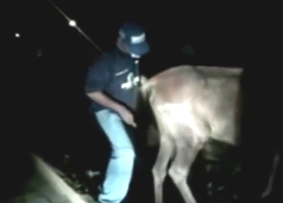 Skinny fucker dominates a mare's hot vagina