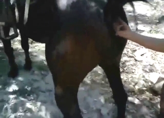 Ruining that mare's pussy in the nature, too
