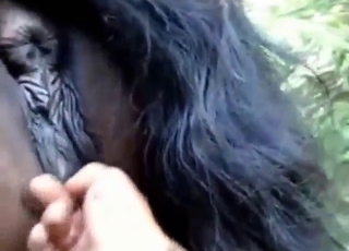 Juicy animal getting fucked by a horny dude