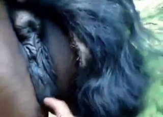 Juicy animal getting fucked by a horny dude