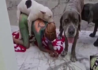 Zoo porno s partou holek, co šukají psy