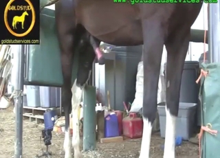 Nice line-up of hot action with crazy HJs here