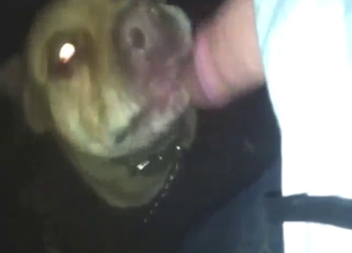 Skinny beast licking his dick and making him hot