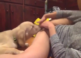 Good-looking Asian is going to get licked by dog