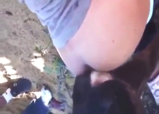 Dog pounding scene with doggystyle orgasms