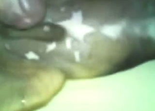 Lovely fuck scene with a beast that gets licked