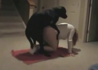 हॉट ज़ू XXX मूवी जिसमें एक महिला कुत्ते का लिंग लेती है